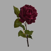 Rózsa művirág, nyílt viola színű virágfejjel.