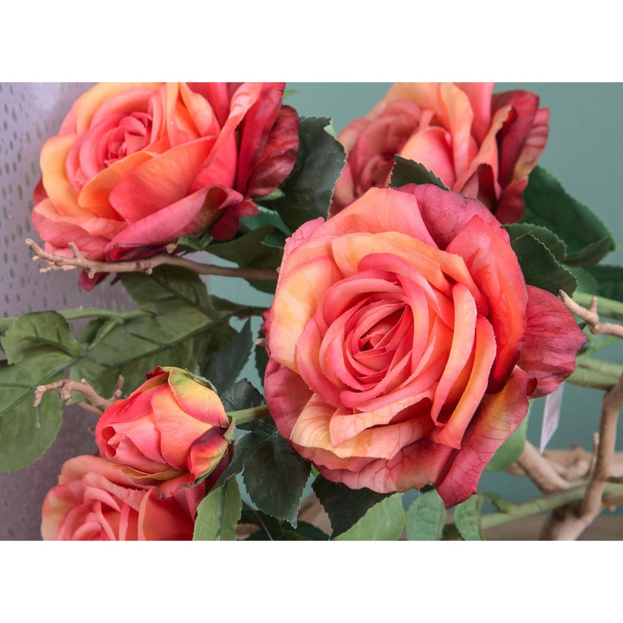 Rózsa művirág, narancsos pink színárnyalatú nyílt és bimbós virágfejekkel.