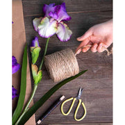 Élethű, krém színű szálas írisz művirág