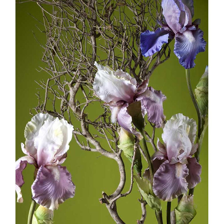 Élethű, kékeslila színű szálas írisz művirág