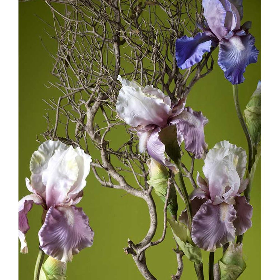 Élethű, mályva színű szálas írisz művirág