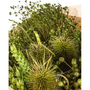 Natúr színű papírba csomagolt, 30 cm átmérőjű és 50 cm magas, vegyes kialakítású zöld színű szárított gyógynövénycsokor