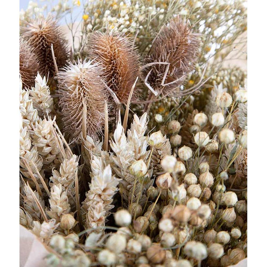 Natúr színű papírba csomagolt, 30 cm átmérőjű és 50 cm magas, vegyes kialakítású natúr színű szárított gyógynövénycsokor