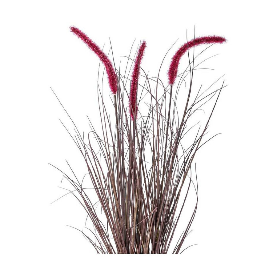 Padlizsán színű kalászokkal rendelkező, 73 cm magas mű tollborzfű bokor, fekete műanyag kaspóban.
