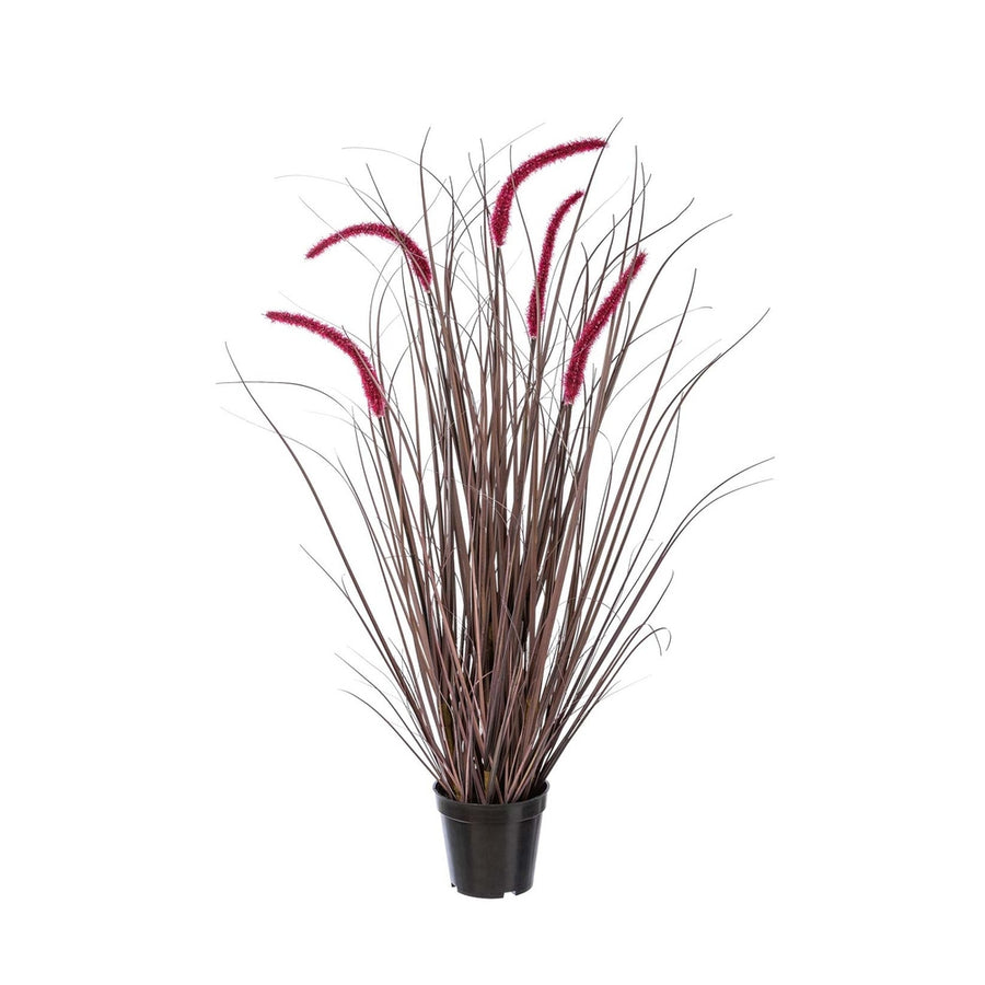Padlizsán színű kalászokkal rendelkező, 89 cm magas mű tollborzfű bokor, fekete műanyag kaspóban.