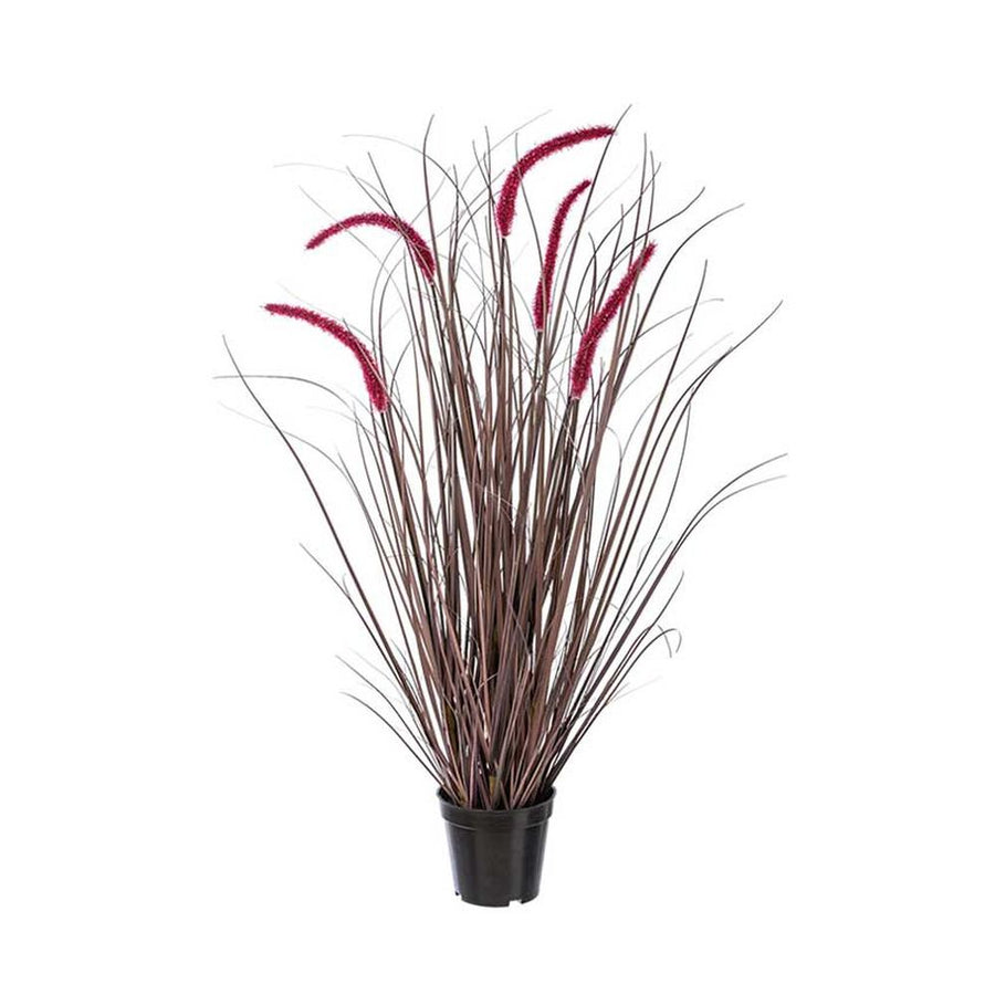 Padlizsán színű kalászokkal rendelkező, 89 cm magas mű tollborzfű bokor, fekete műanyag kaspóban.