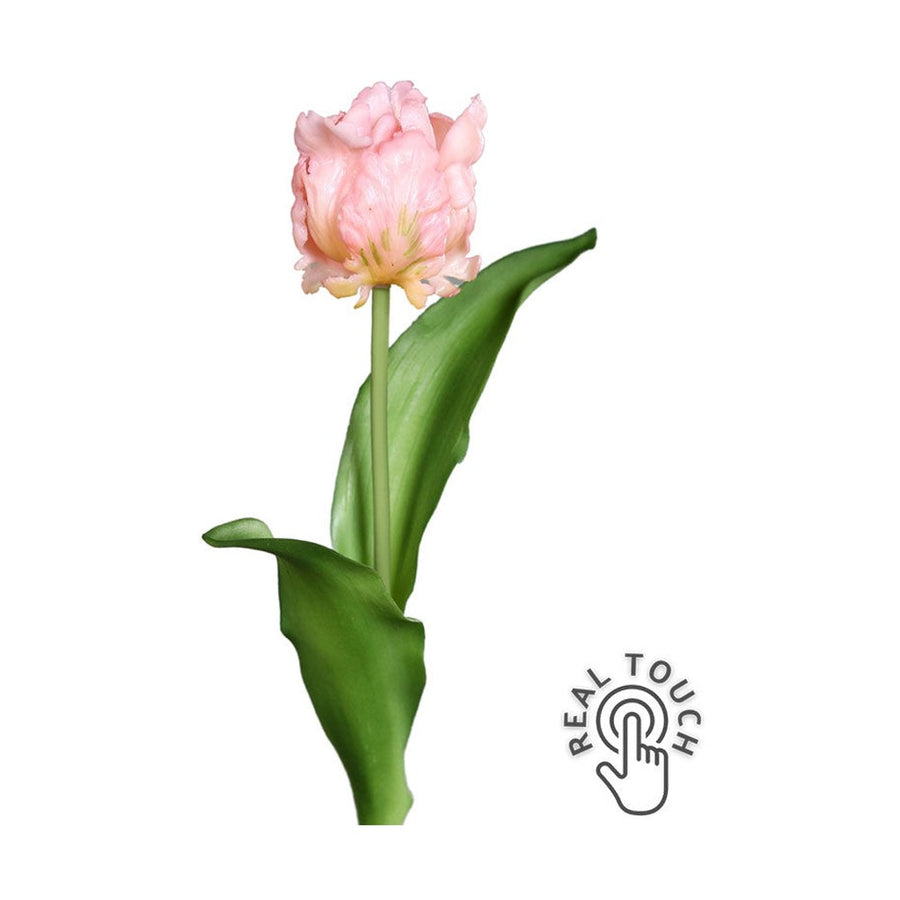 Rózsaszín színű, papagáj tulipán művirág.