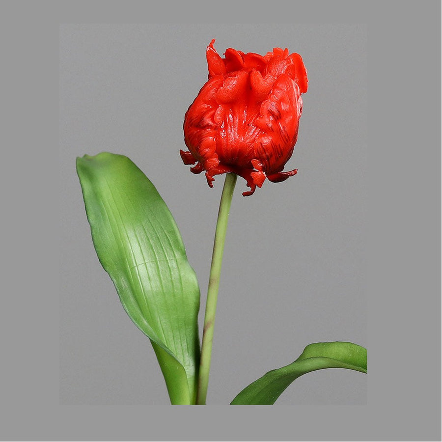 Piros színű, papagáj tulipán művirág.