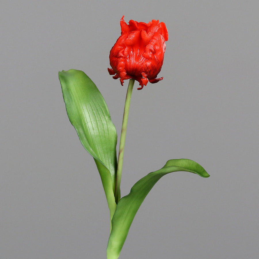 Piros színű, papagáj tulipán művirág.