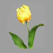 Sárga színű, papagáj tulipán művirág.