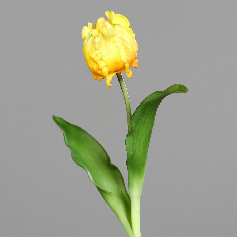 Sárga színű, papagáj tulipán művirág.