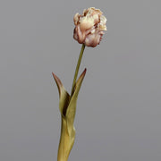 Fáradt barna színvilágú, vintage stílusú, papagáj tulipán művirág.