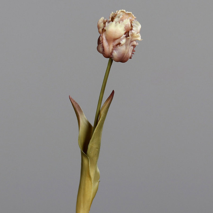 Fáradt barna színvilágú, vintage stílusú, papagáj tulipán művirág.