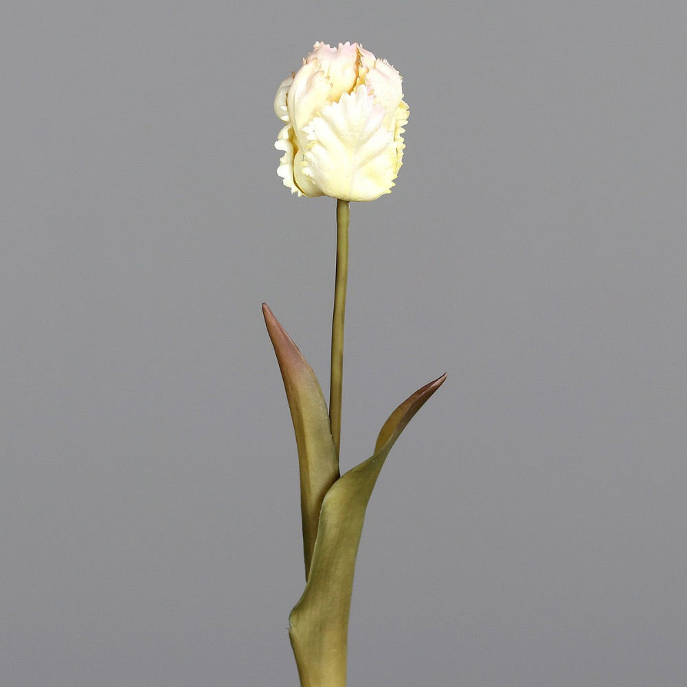 Fáradt krém színvilágú, vintage stílusú, papagáj tulipán művirág .