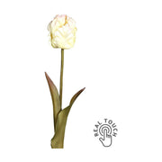 Fáradt krém színvilágú, vintage stílusú, papagáj tulipán művirág .