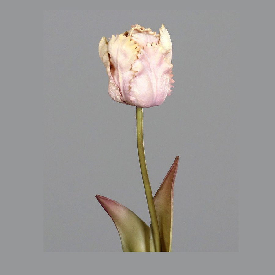 Fáradt rózsaszín színvilágú, vintage stílusú, papagáj tulipán művirág.