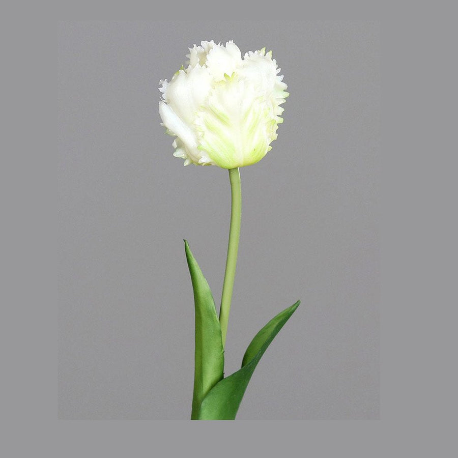 Fehér színű, papagáj tulipán művirág.