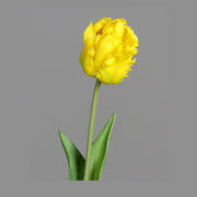 Sárga színű, papagáj tulipán művirág.