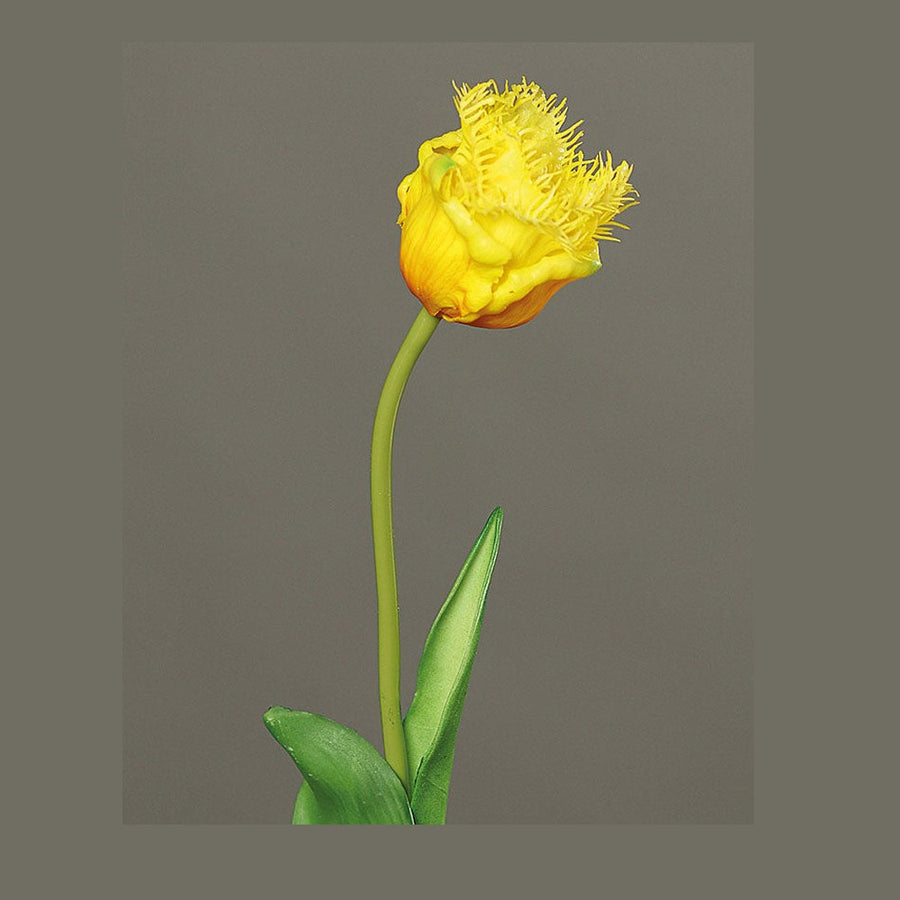 Élethű megjelenésű, Real Touch hatású, sárga színű, rojtos tulipán művirág.