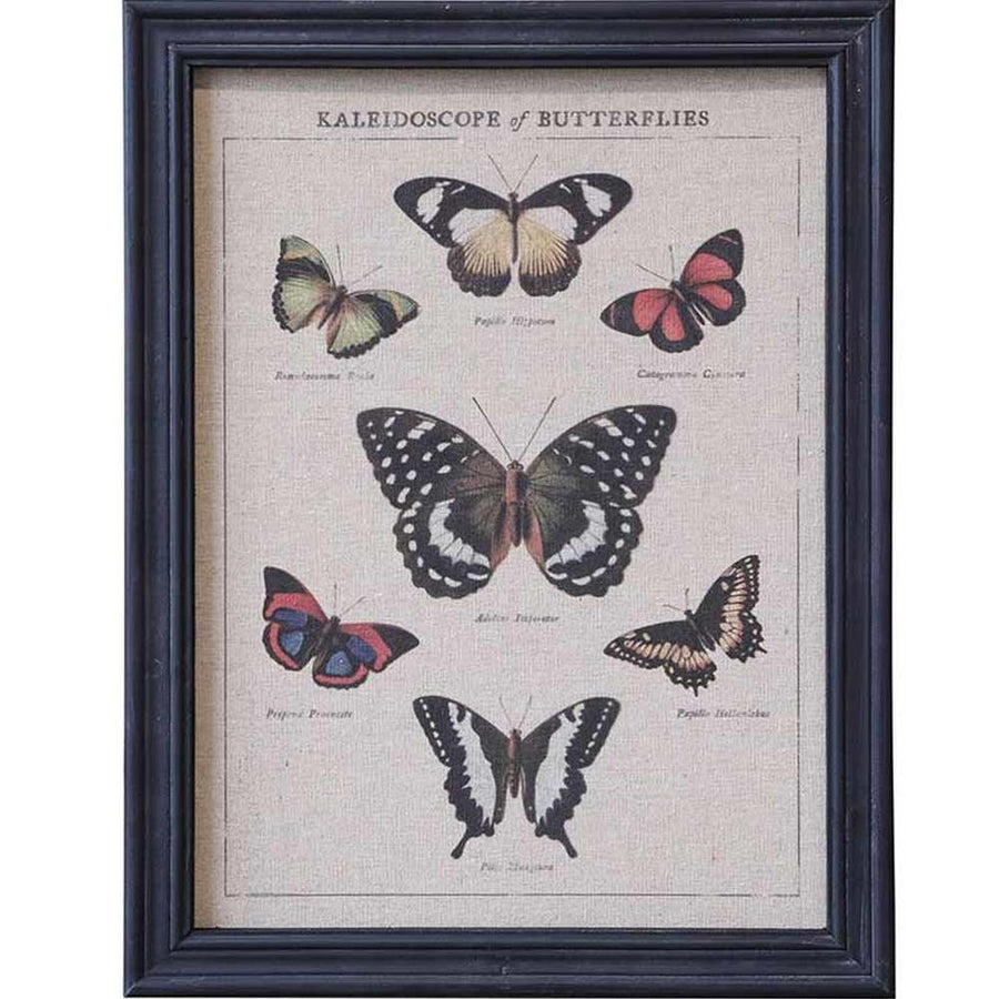 Lepkék botanikai rajza vászonnyomaton antik fekete színű vintage fa képkeretben