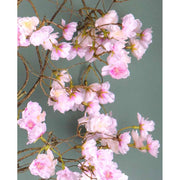 Halvány rózsaszín színű barackvirágokkal díszített ág girland